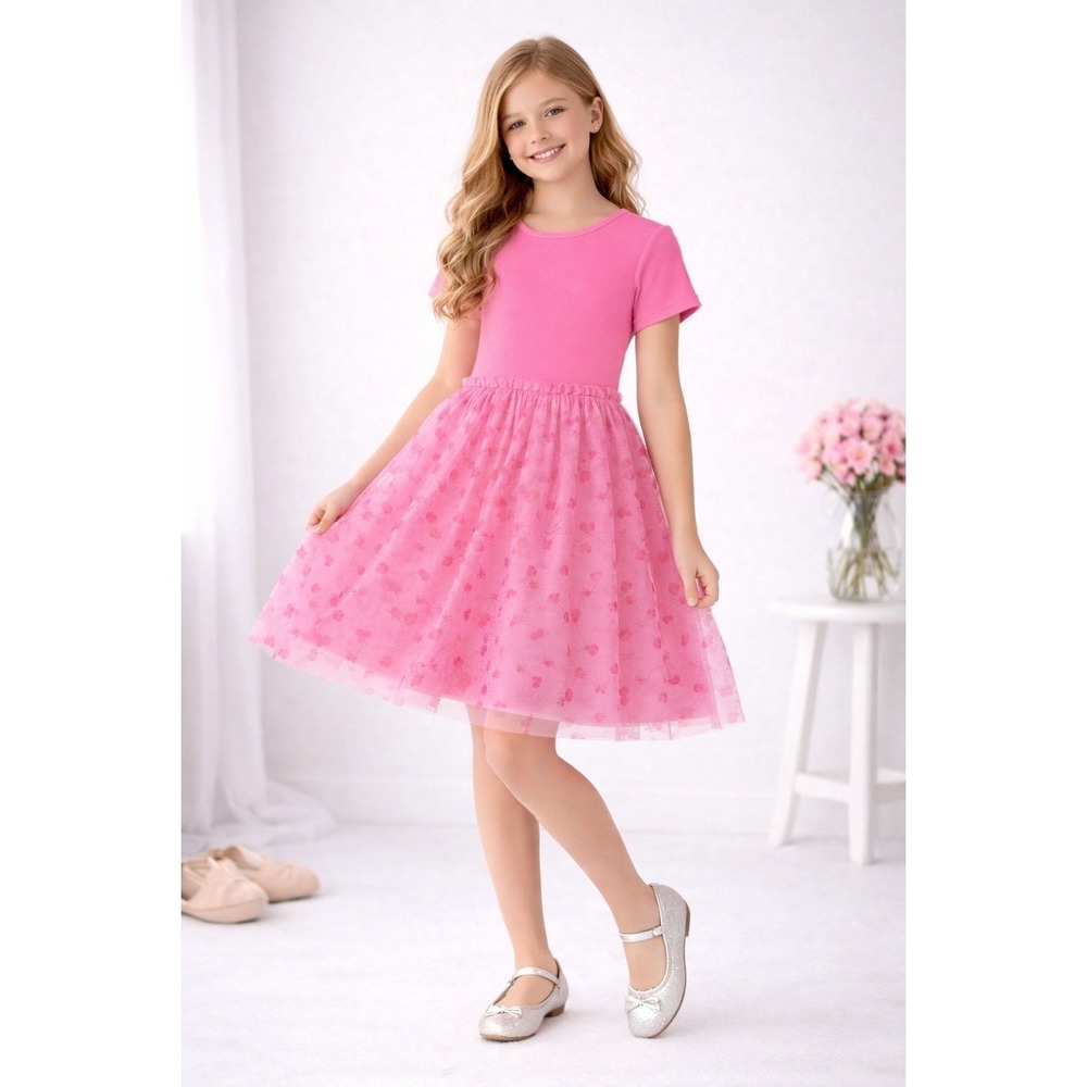 Wonder Nation Pink‎ Cherry Hearts Tulle Tutu Dress XXL 18 New NWT